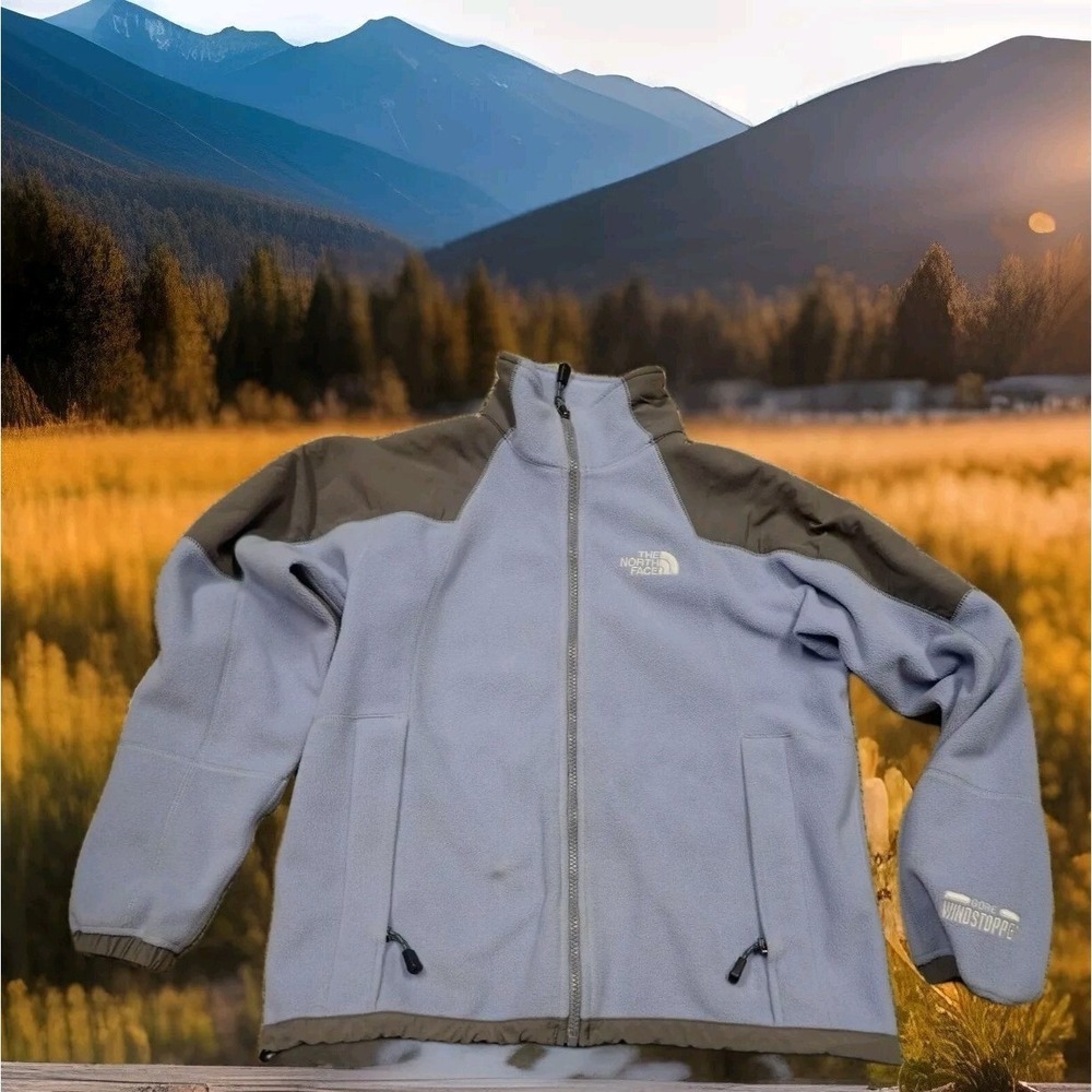The North Face Fleece Jacket Womens Small Blue Good Gore Windstopper‎ Full Zip